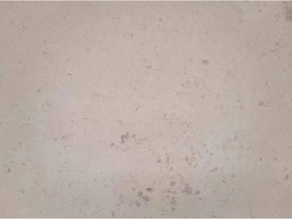 葡萄牙米黃